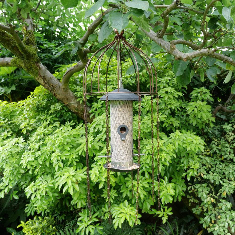 Medusa Bird Feeder Defender